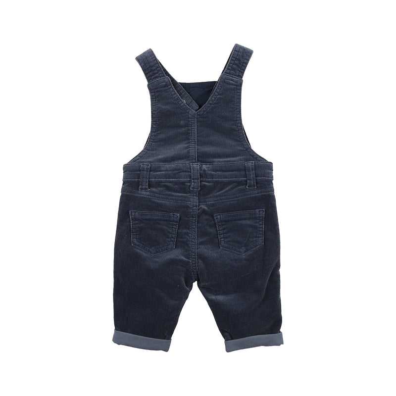 Bebe blair cord overall in blue