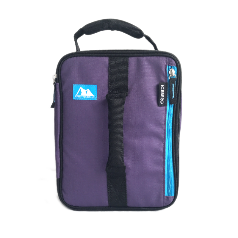 Arctic Zone Expandable Lunch Pack Logan in Purple