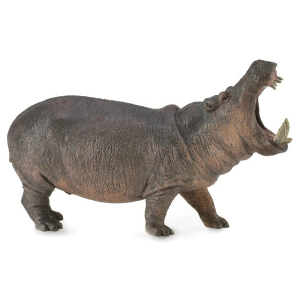 Collecta Hippopotamus (XL)