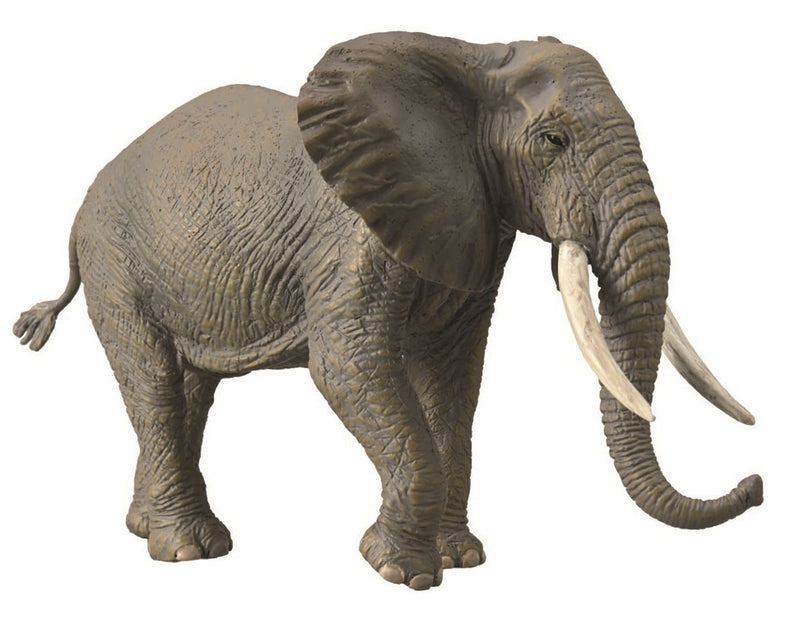 Collecta African Elephant (XL)