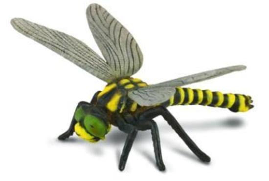 Collecta Golden-Ringed Dragonfly (L)