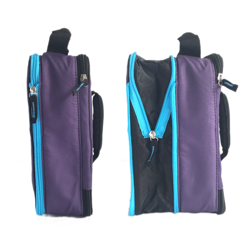 Arctic Zone Expandable Lunch Pack Logan in Purple