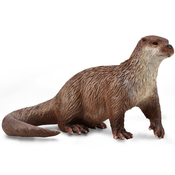 Collecta Common otter (M)