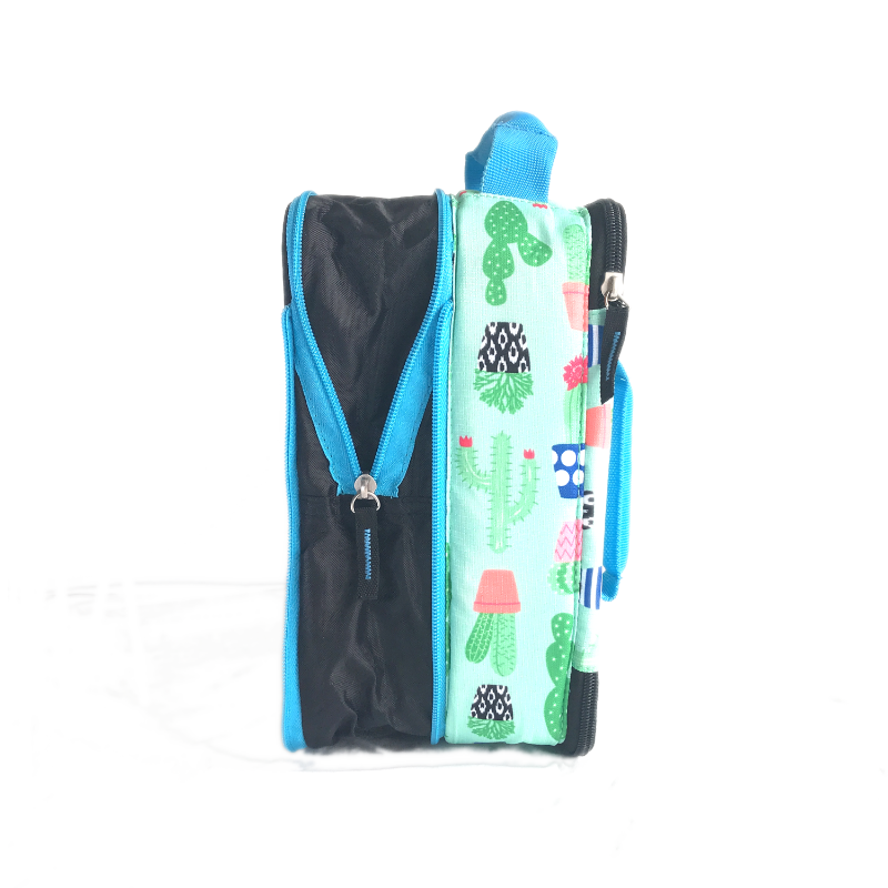 Arctic Zone Expandable Lunch Pack Cactus in Green