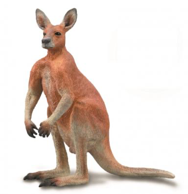Collecta Red Kangaroo - Male (L)