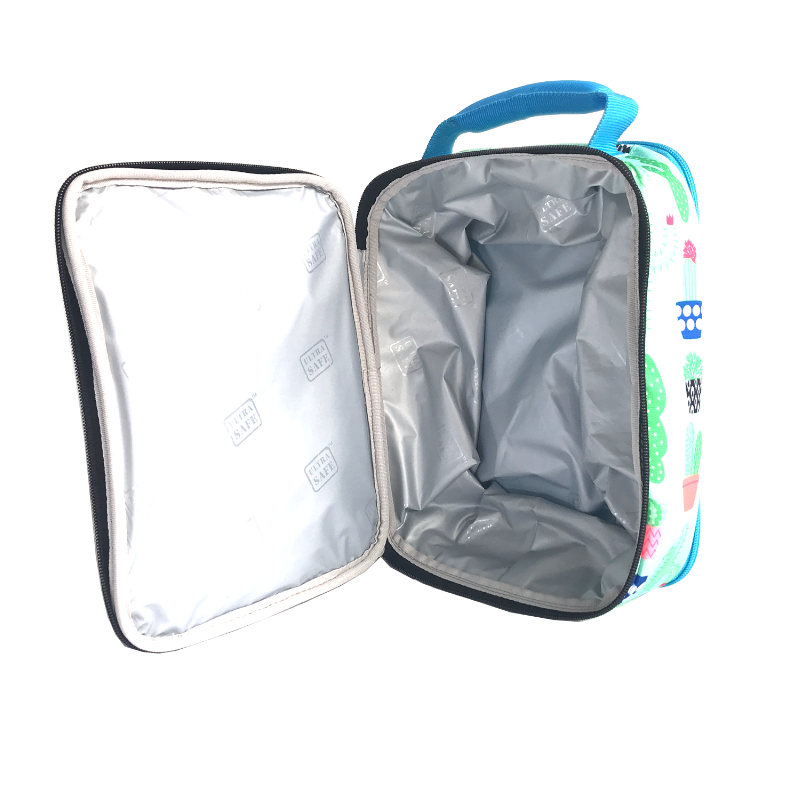 Arctic Zone Expandable Lunch Pack Cactus in Green