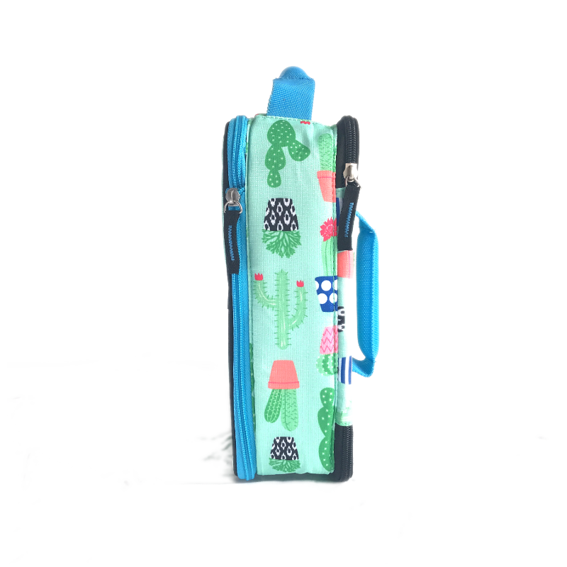 Arctic Zone Expandable Lunch Pack Cactus in Green