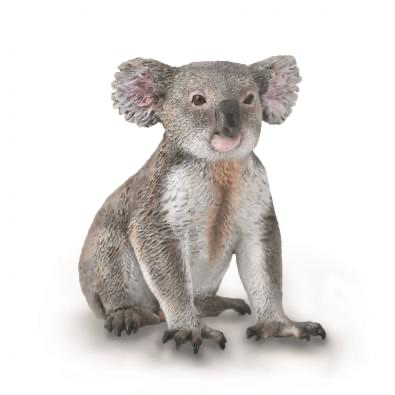 Collecta Koala (M)